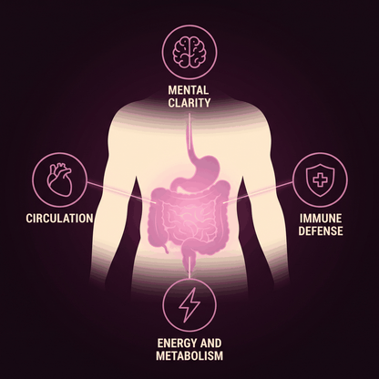 Mental clarity, circulation, immune defense, energy