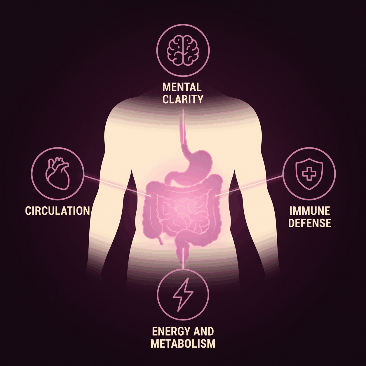 Mental clarity, circulation, immune defense, energy